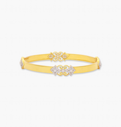 The Plushest Shine Bangle